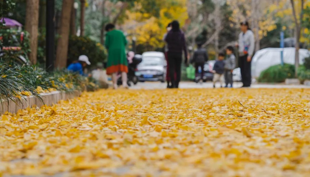 晋宁诗意的栖居地