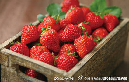 昆明经济技术开发区管委会