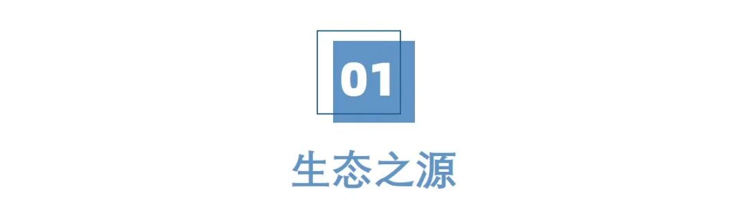 美丽云南 | 一河源千年 百福泽万众——赤水源_http://www.mainten.cn_cns_第3张