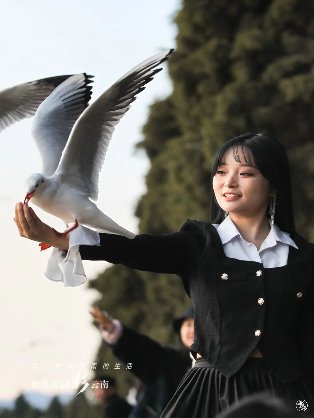 云南省文化和旅游厅