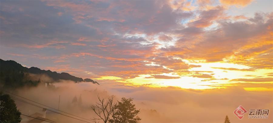 云南省文化和旅游厅
