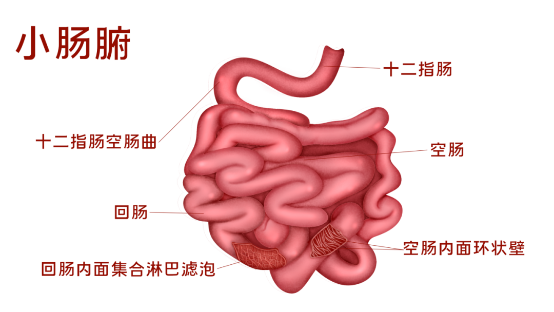 云南省中医医院