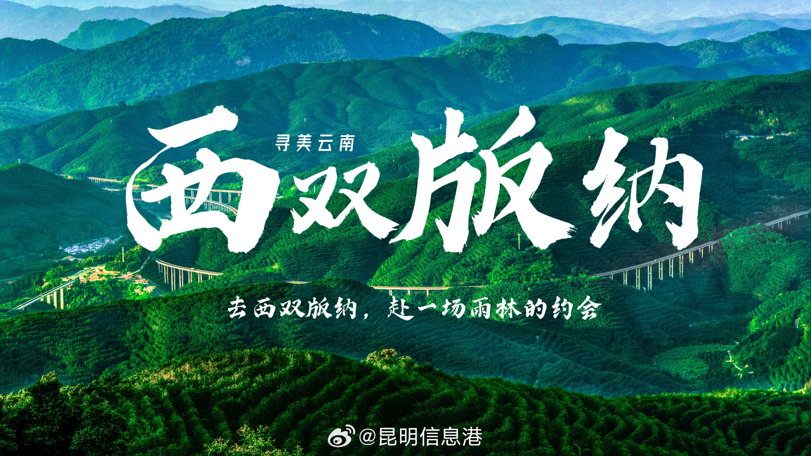 昆明信息港微博