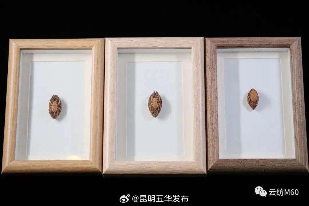 遇见丰宁 | 匠心非遗：发丝上刻字的微雕大师_http://www.mainten.cn_cns_第8张