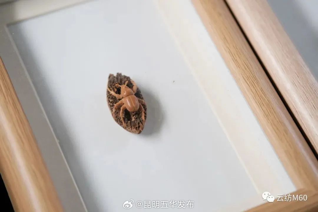 遇见丰宁 | 匠心非遗：发丝上刻字的微雕大师_http://www.mainten.cn_cns_第5张
