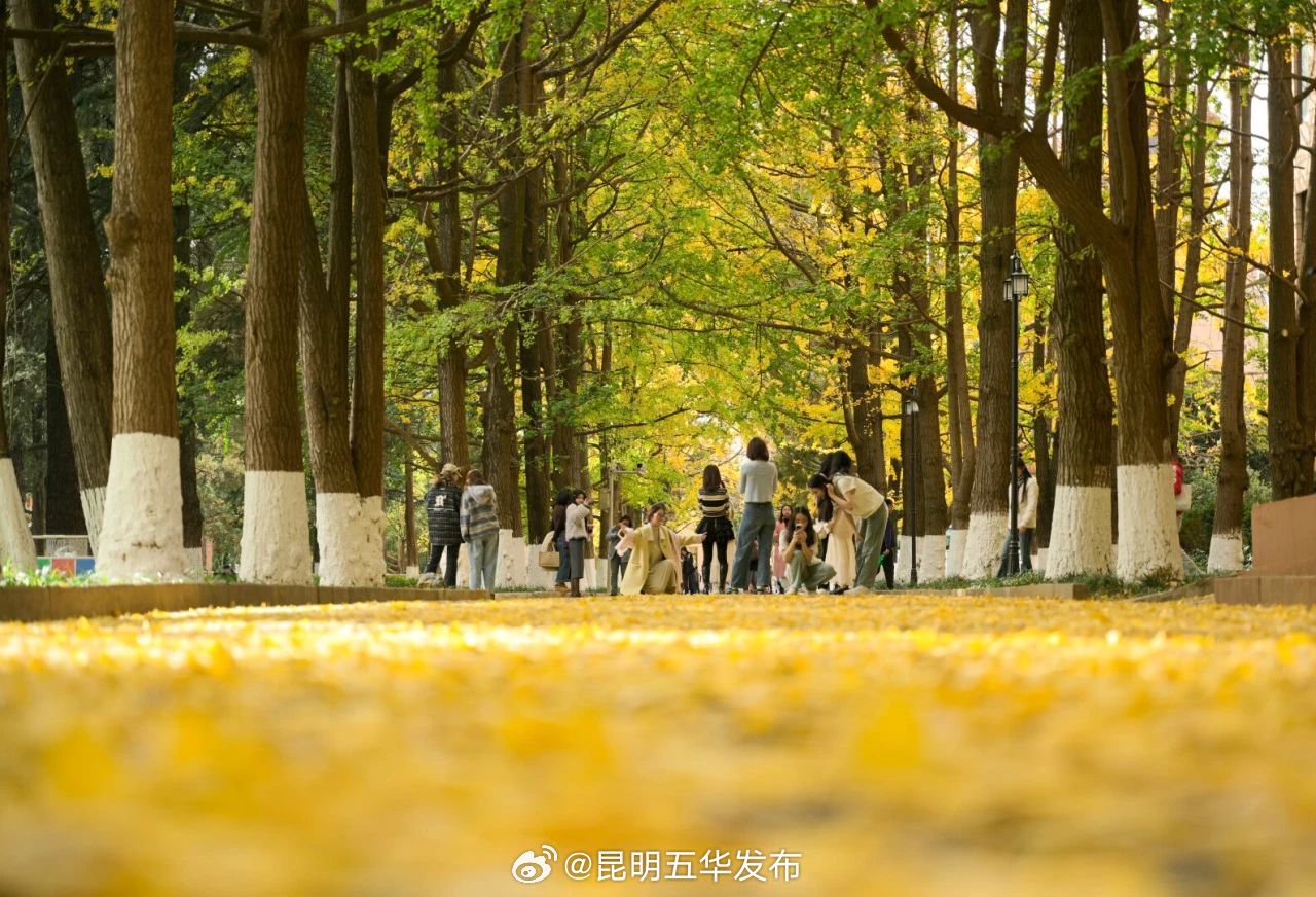 昆明五华发布