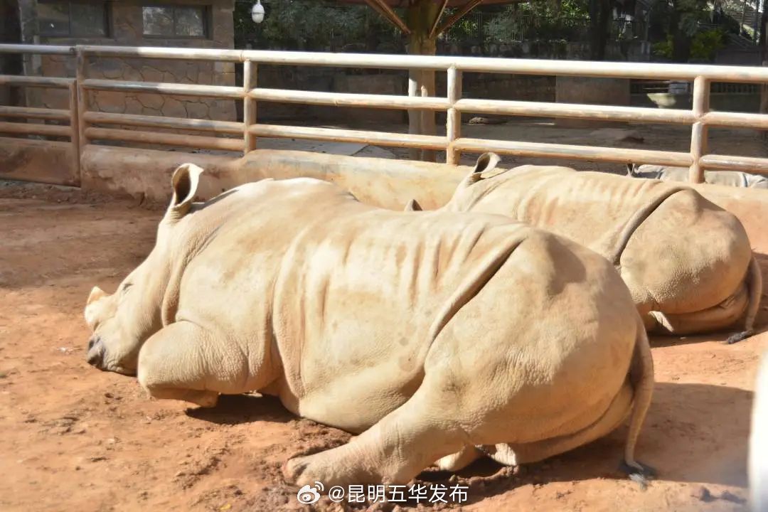 昆明五华发布