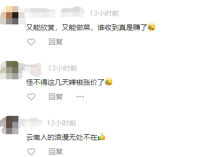 昆明信息港/cnkmxxg