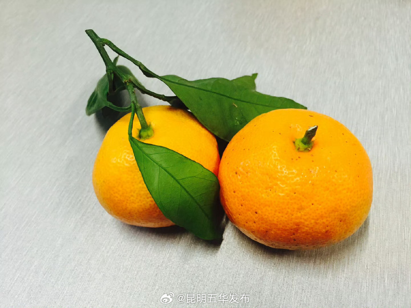 吃完砂糖橘要刷牙