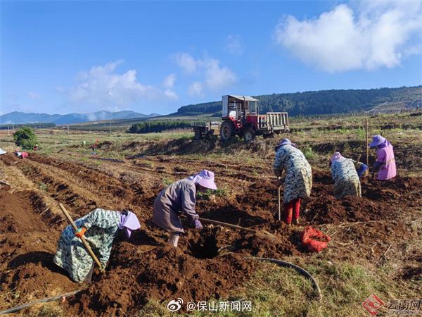 保山新闻网