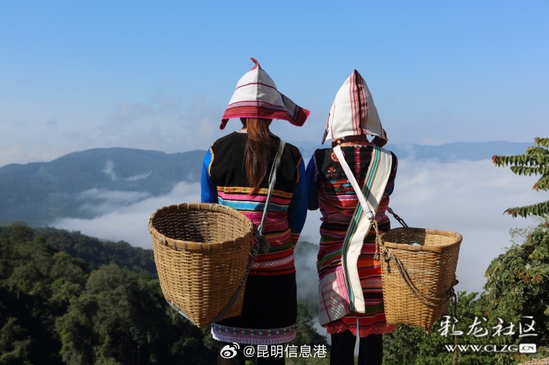 昆明信息港微博