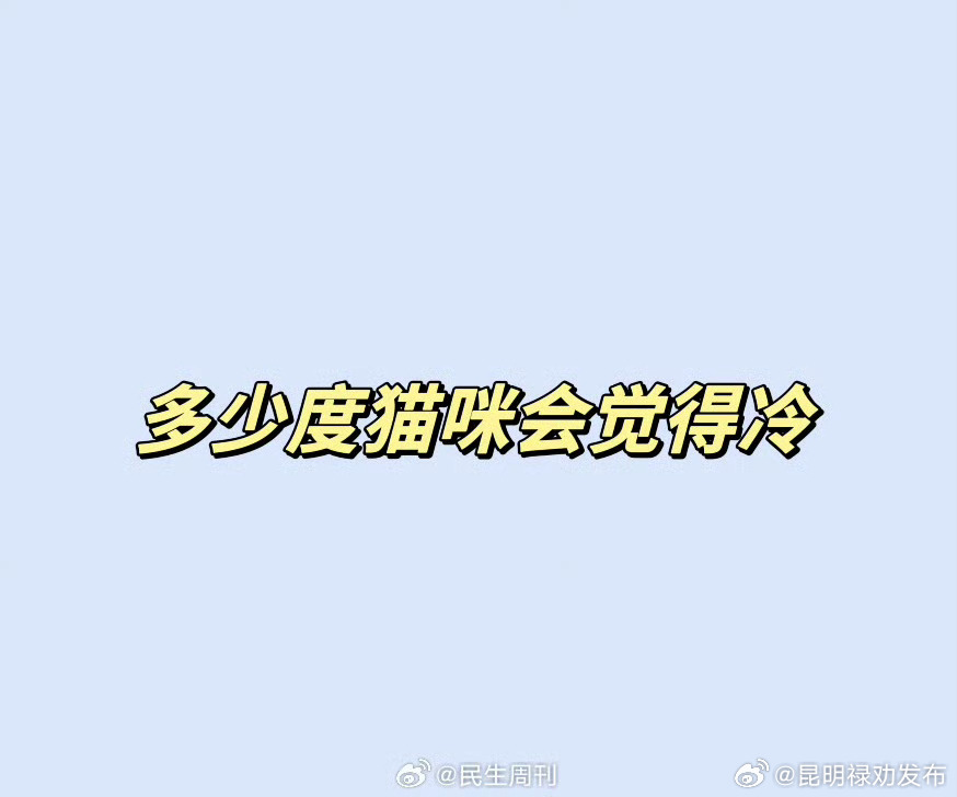 多少度猫咪会感觉冷？