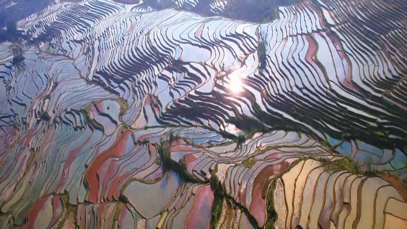 云南省文化和旅游厅