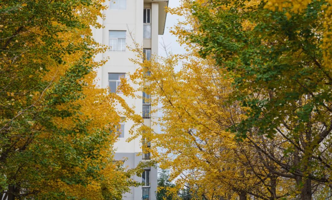 晋宁诗意的栖居地