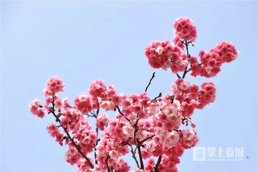 昆明文旅