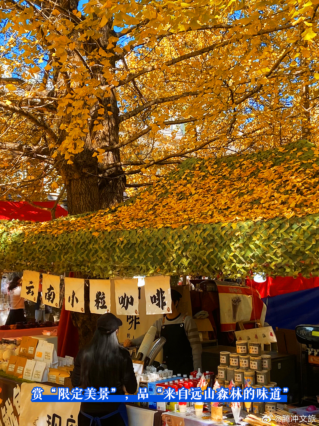 腾冲文旅