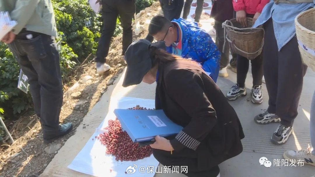 保山新闻网