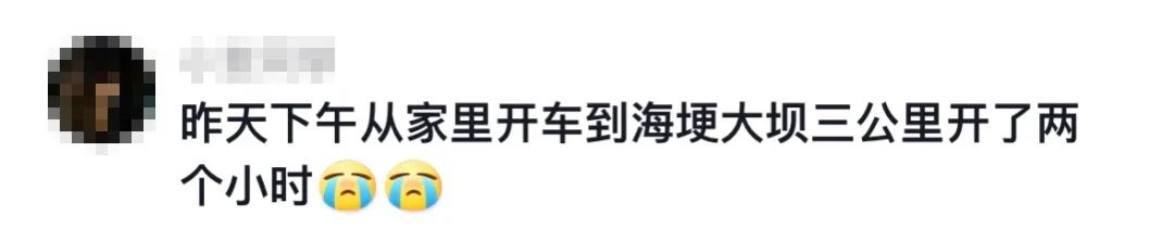 “人从众”模式启动！几万人同时观鸥！昆明最全观鸥打卡点来了_http://www.mainten.cn_cns_第6张