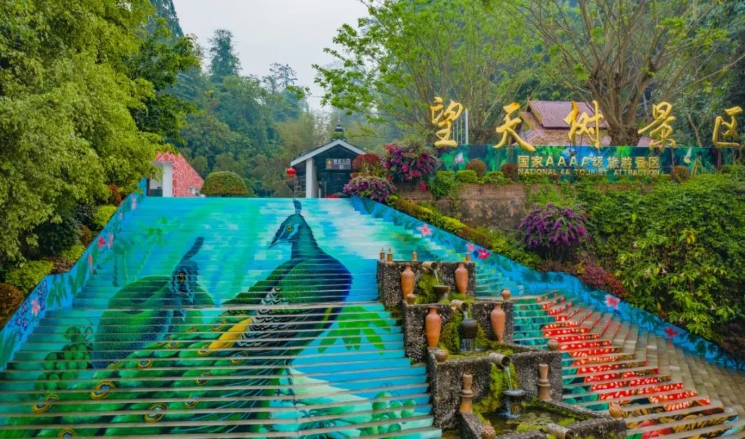 西双版纳望天树景区