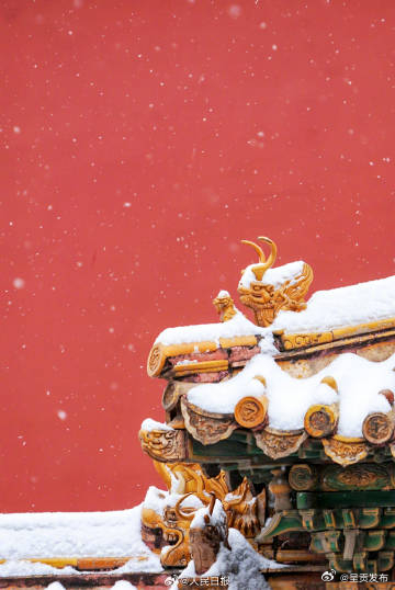 故宫白雪红墙的氛围感_http://www.mainten.cn_cns_第3张
