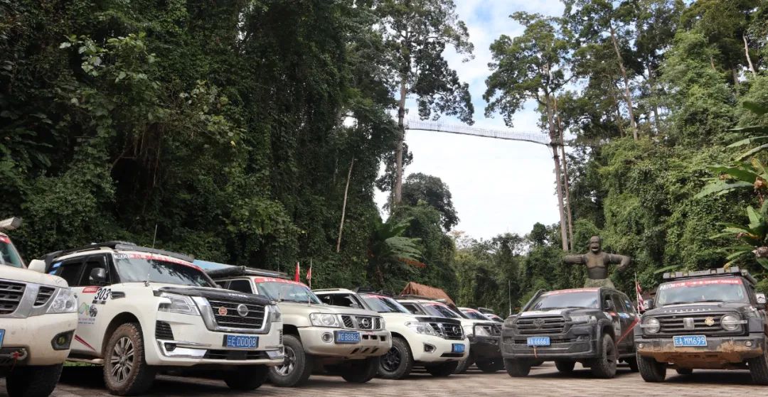 西双版纳望天树景区