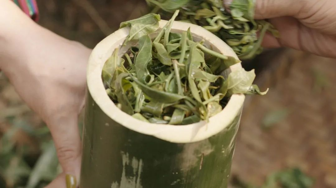 云南省文化和旅游厅