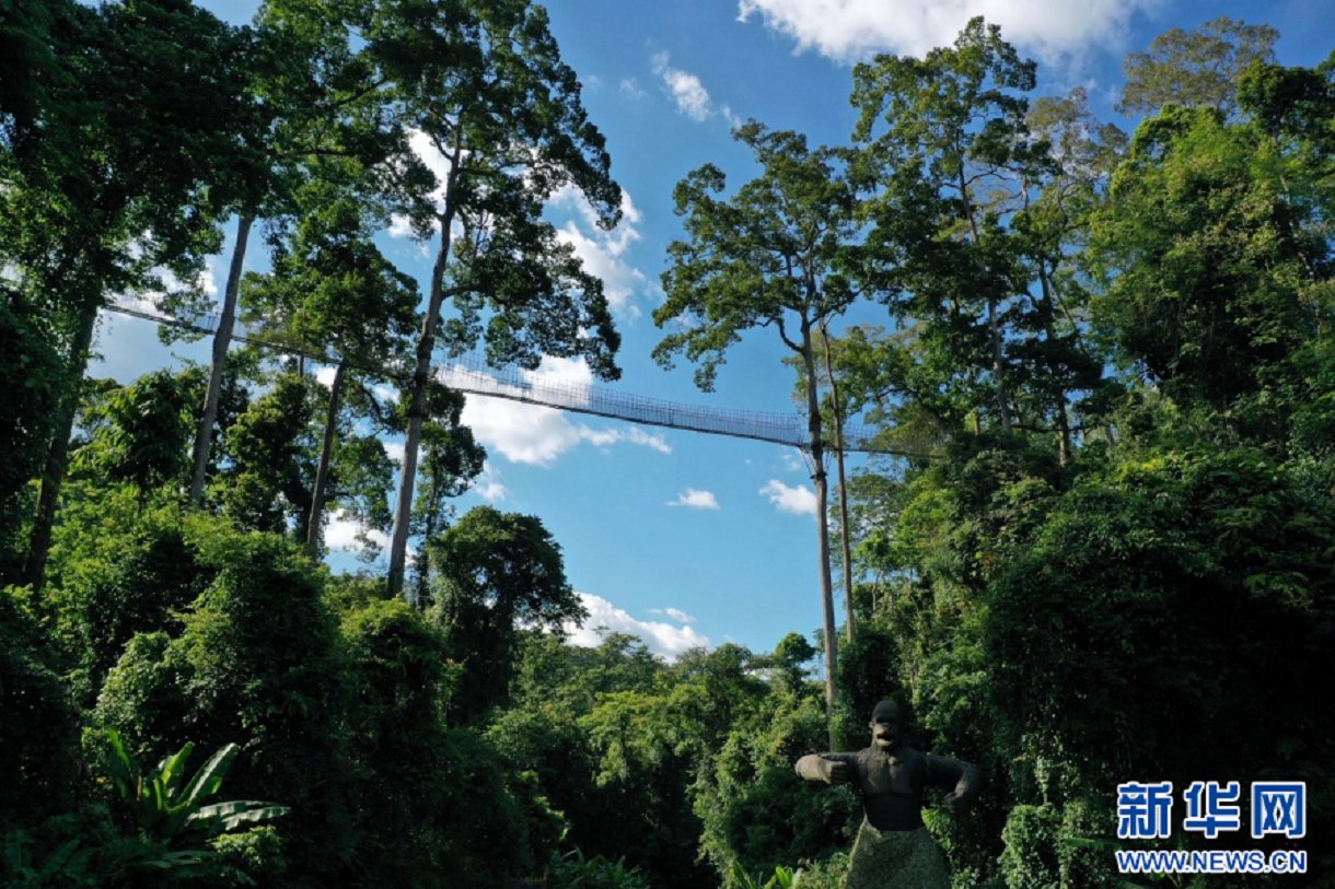 云南省文化和旅游厅