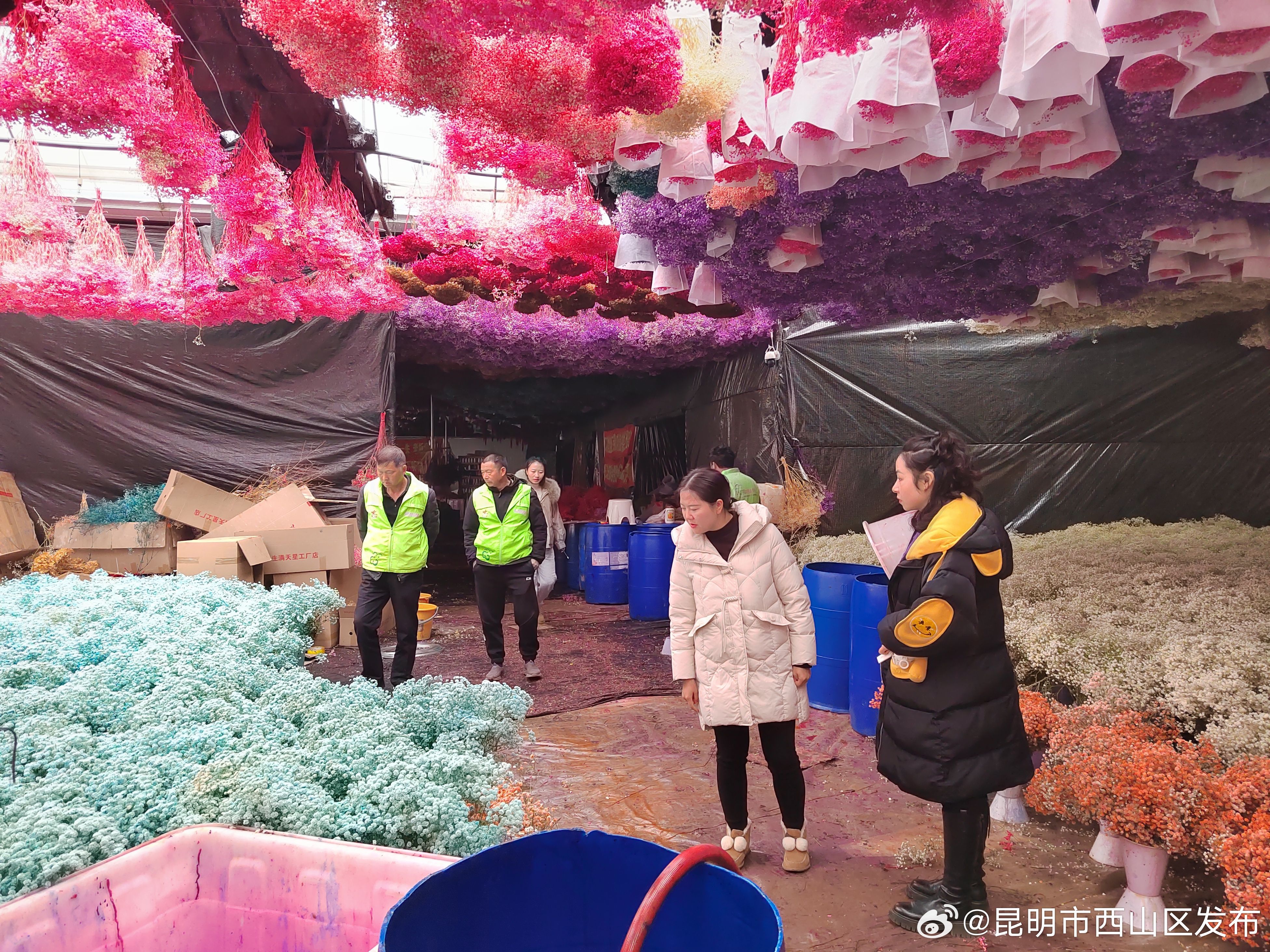 昆明市西山区发布
