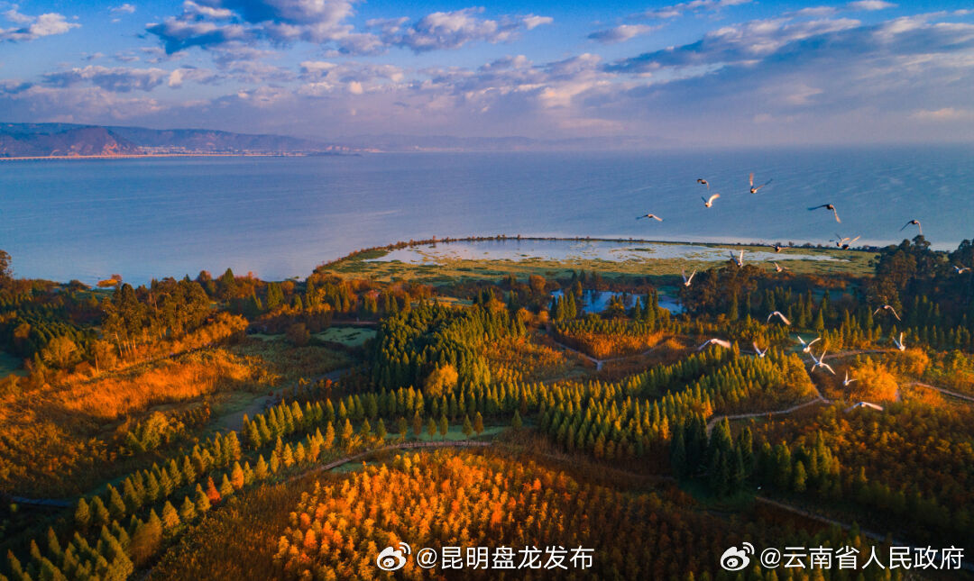 守护“地球之肾”！云南发布湿地保护规划