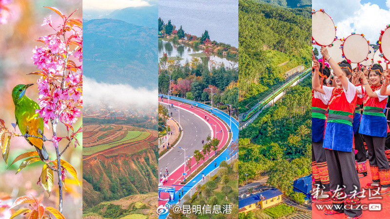 昆明信息港微博