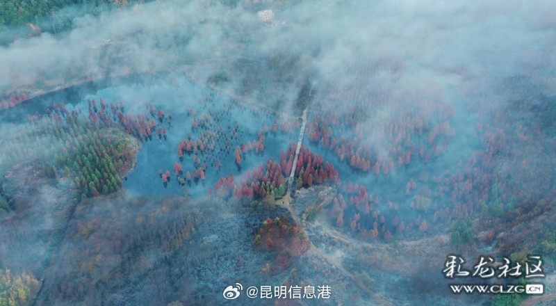 昆明信息港微博