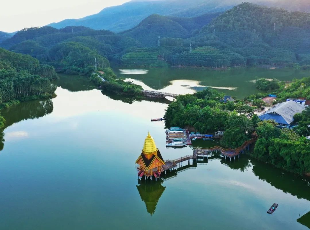 西双版纳望天树景区