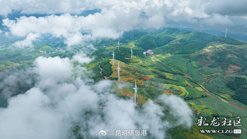 昆明信息港微博