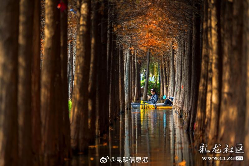 昆明信息港微博