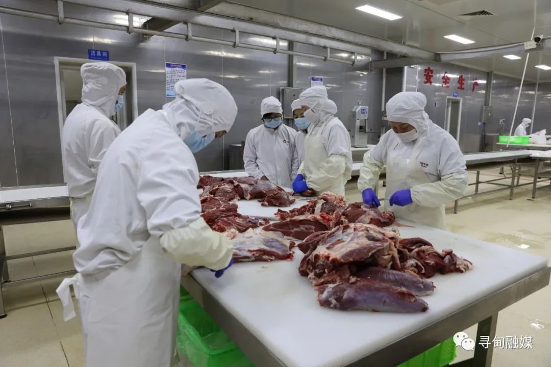 昆明寻甸发布