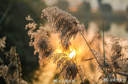 呈贡发布