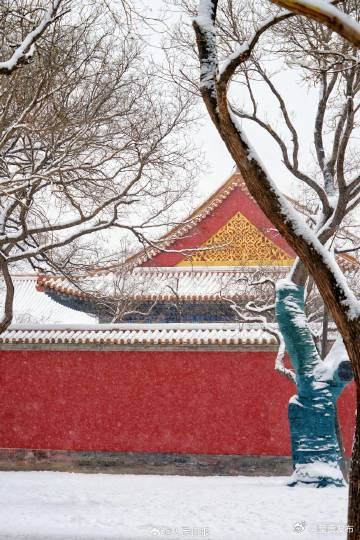 故宫白雪红墙的氛围感_http://www.mainten.cn_cns_第9张