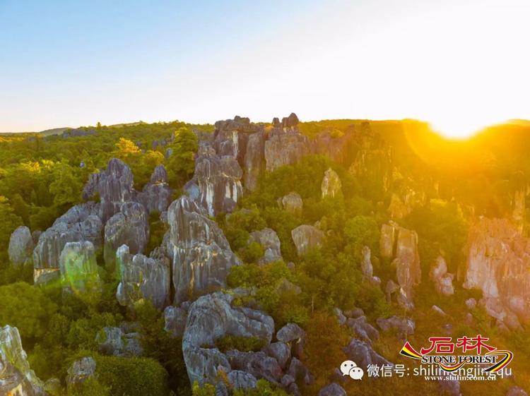 石林旅游网