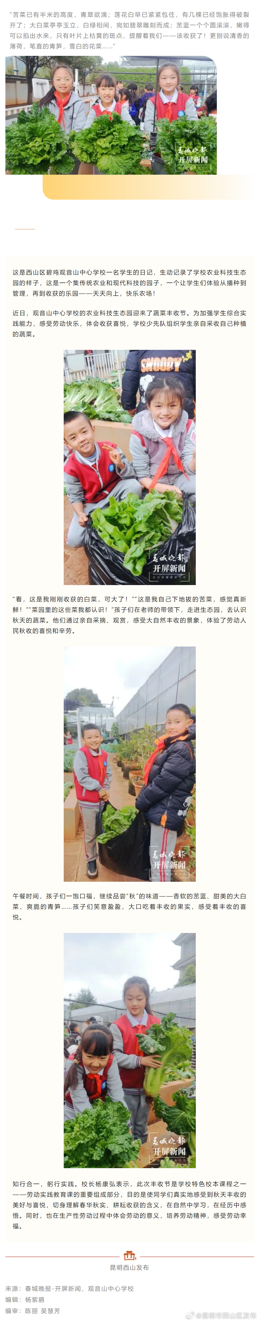 西山区这所小学举办蔬菜丰收节