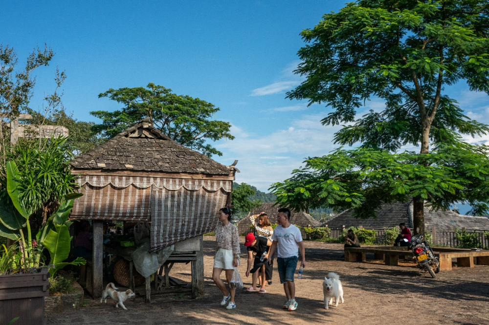 新晋世界遗产地景迈山带热周边乡村旅游_http://www.mainten.cn_cns_第1张