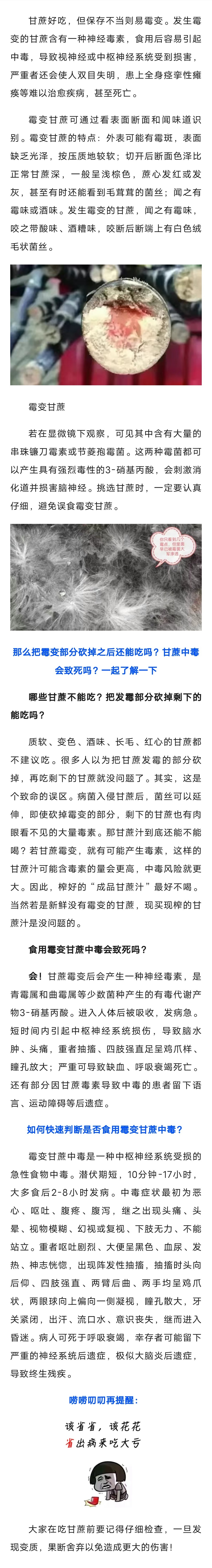后果严重！甘蔗霉变千万不要吃！！！—谨防霉变甘蔗食物中毒