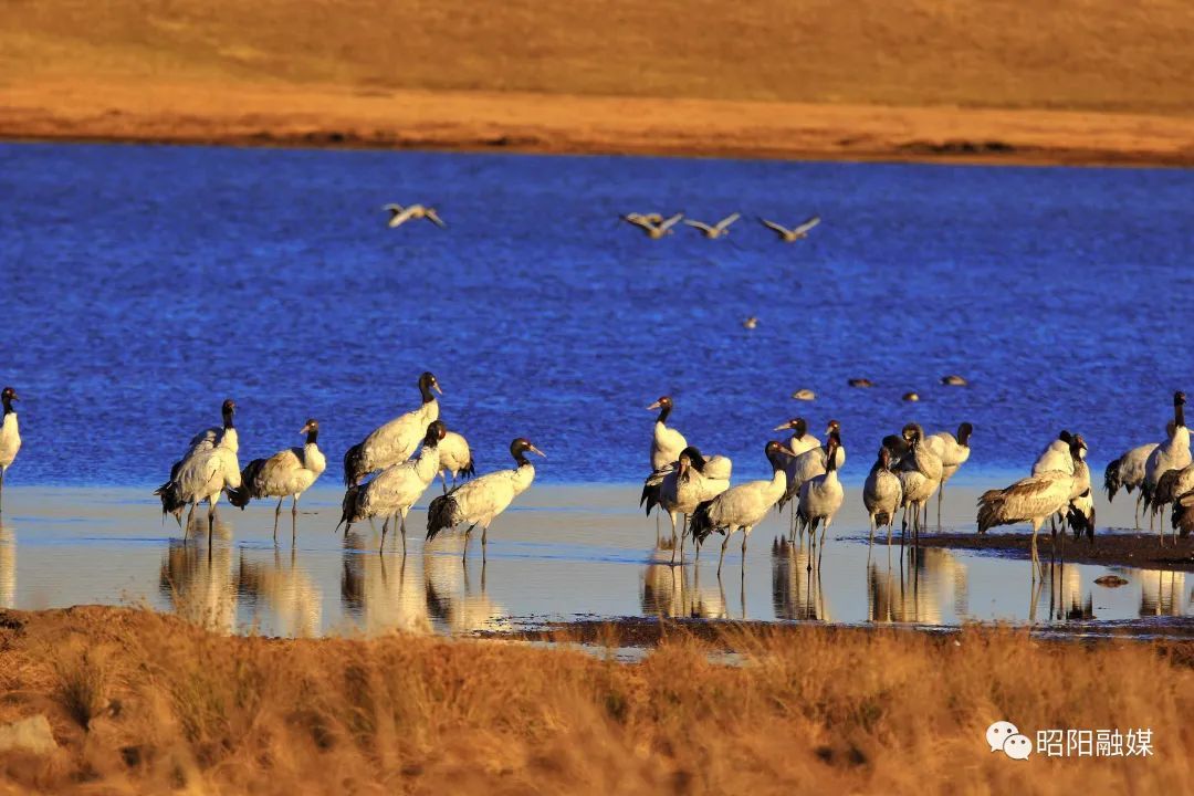 云南省文化和旅游厅