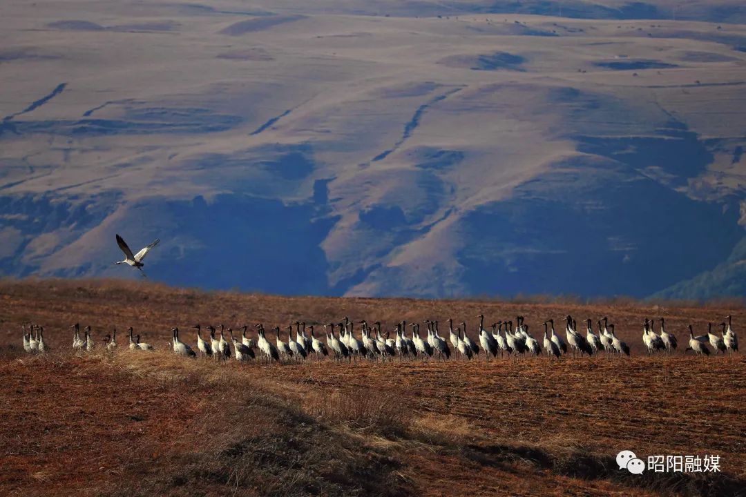 云南省文化和旅游厅