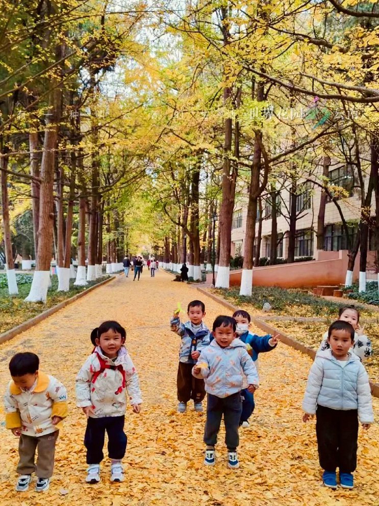 云南省文化和旅游厅