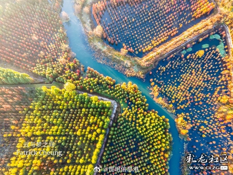 昆明信息港微博