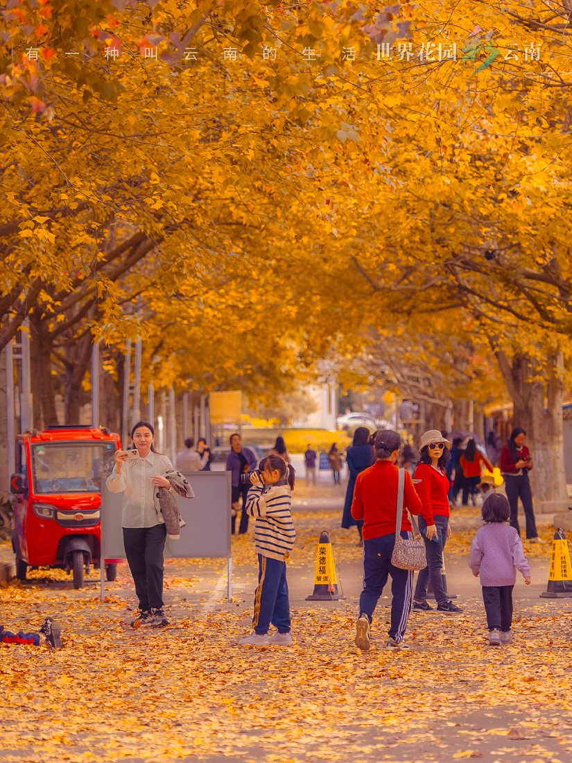 云南省文化和旅游厅