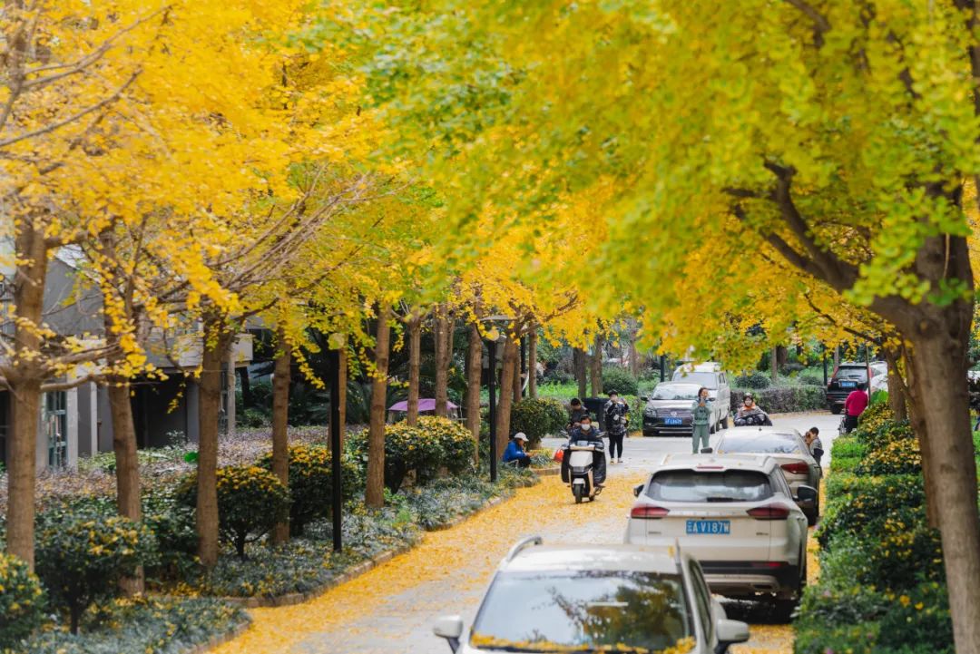晋宁诗意的栖居地