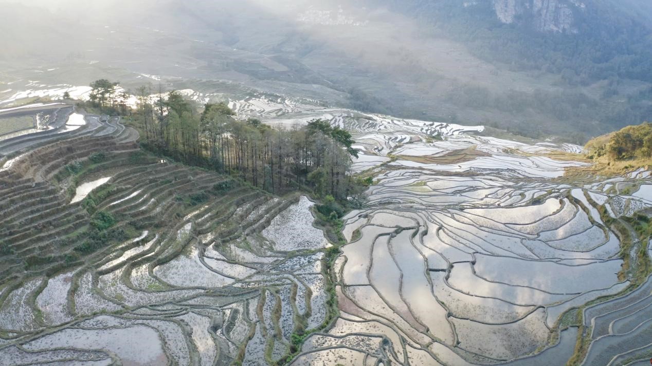 云南省文化和旅游厅