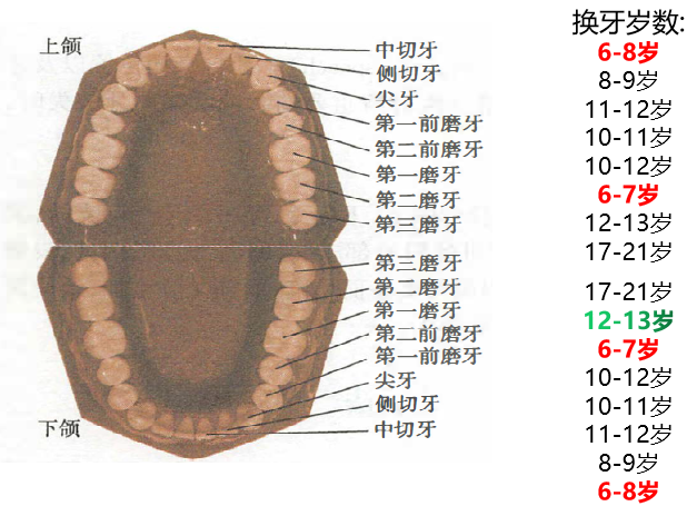 昆明医科大学附属口腔医院