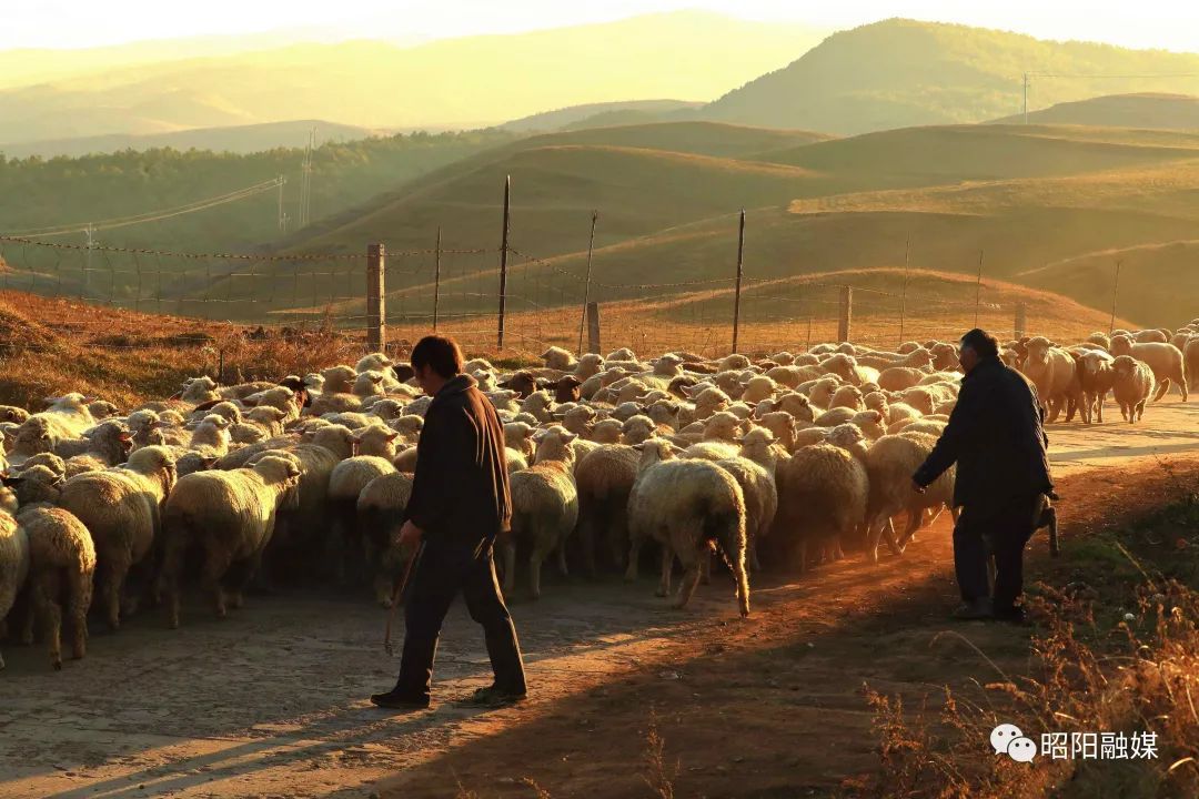 云南省文化和旅游厅